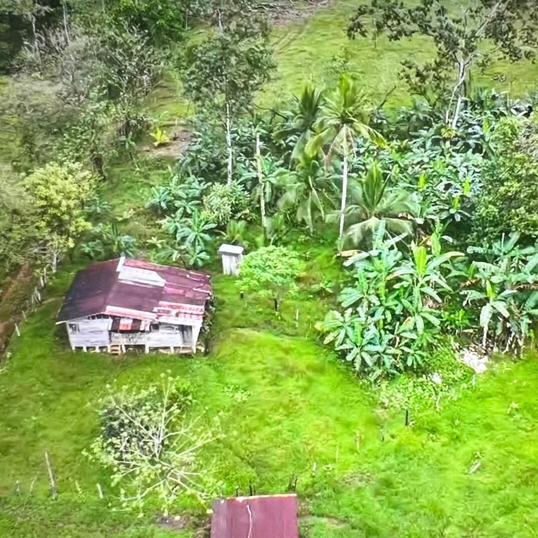 Hands of Love Property