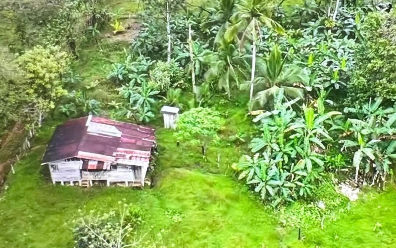 Hands of Love Property